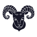 aries-300x300